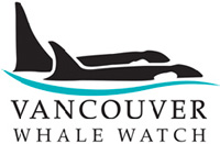 Whale Watching in Vancouver